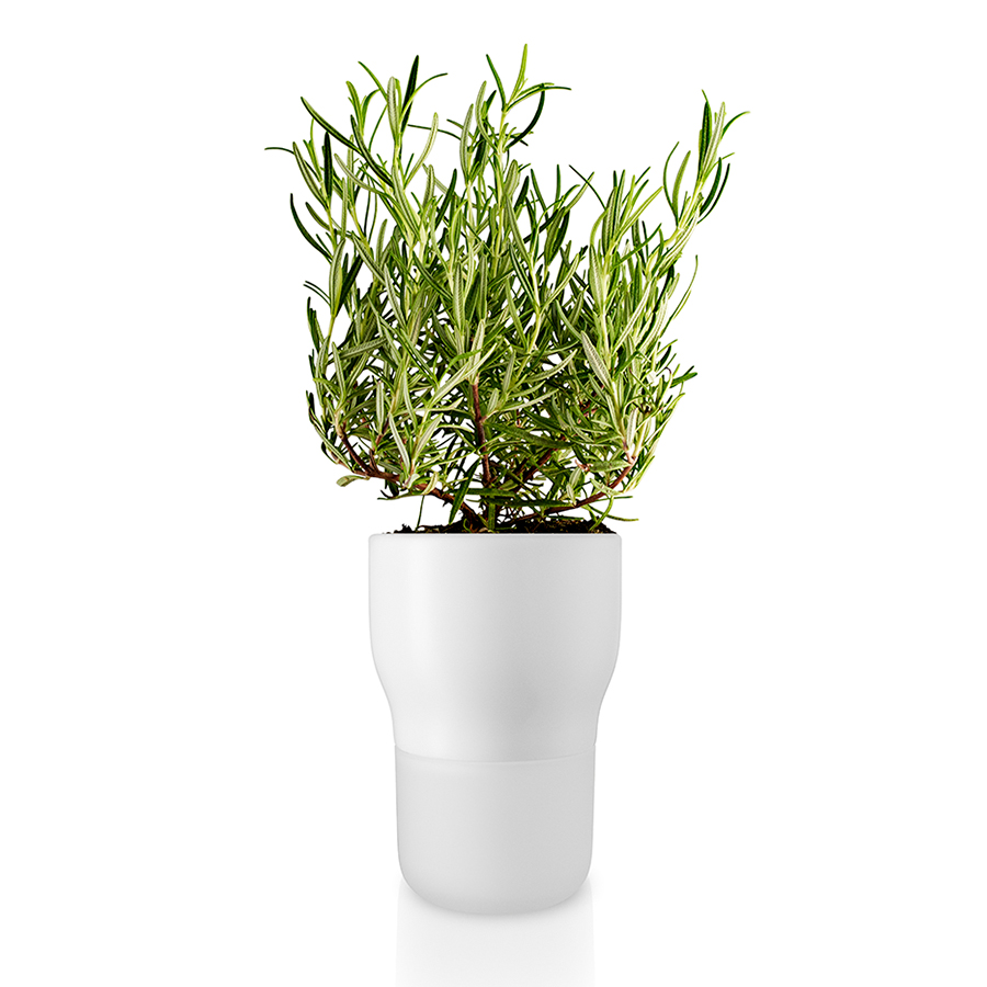     Plant white, 12 , 16 , , , , Eva Solo, 