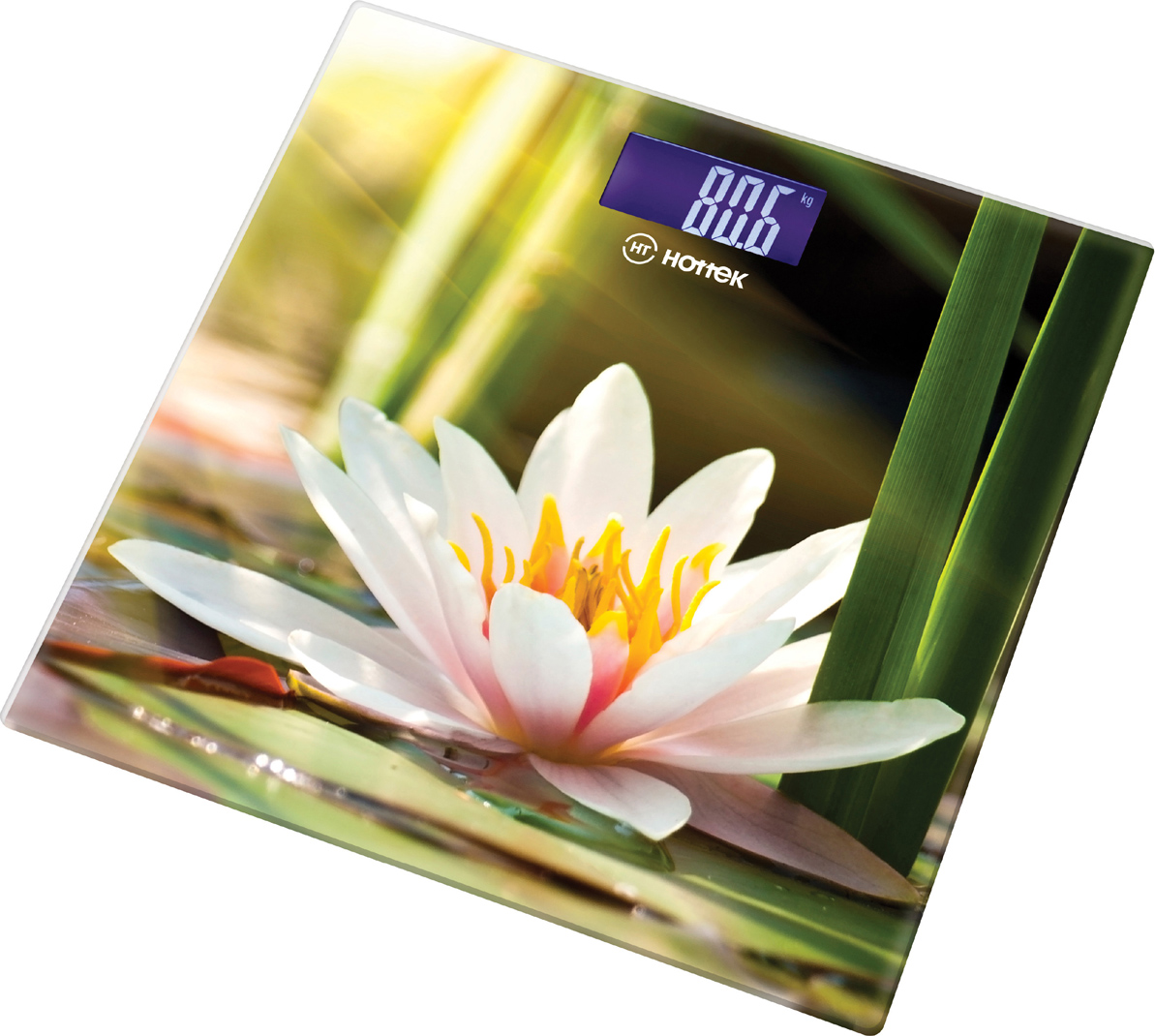   Water lily, 30x30 , , Hottek, 